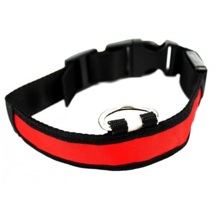 Illuminated dog collar size L - Do you take your little one for a walk in the evening? Make sure you don't lose sight of it in the dark!
