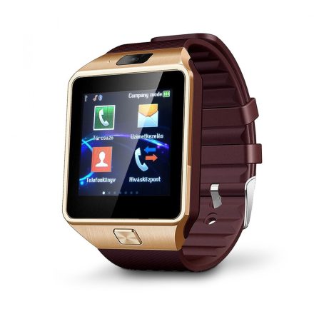 Tempus Smartwatch gold-brown