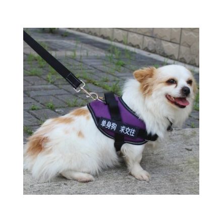 puppy harness from 5 to 13 kg