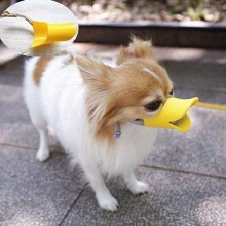 Dog Duck Muzzle (S) -Funny muzzle for your little pet, safety and fun guaranteed.